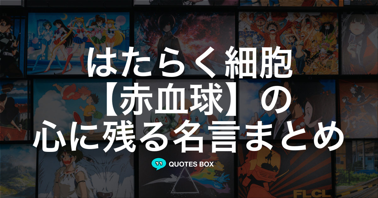 赤血球