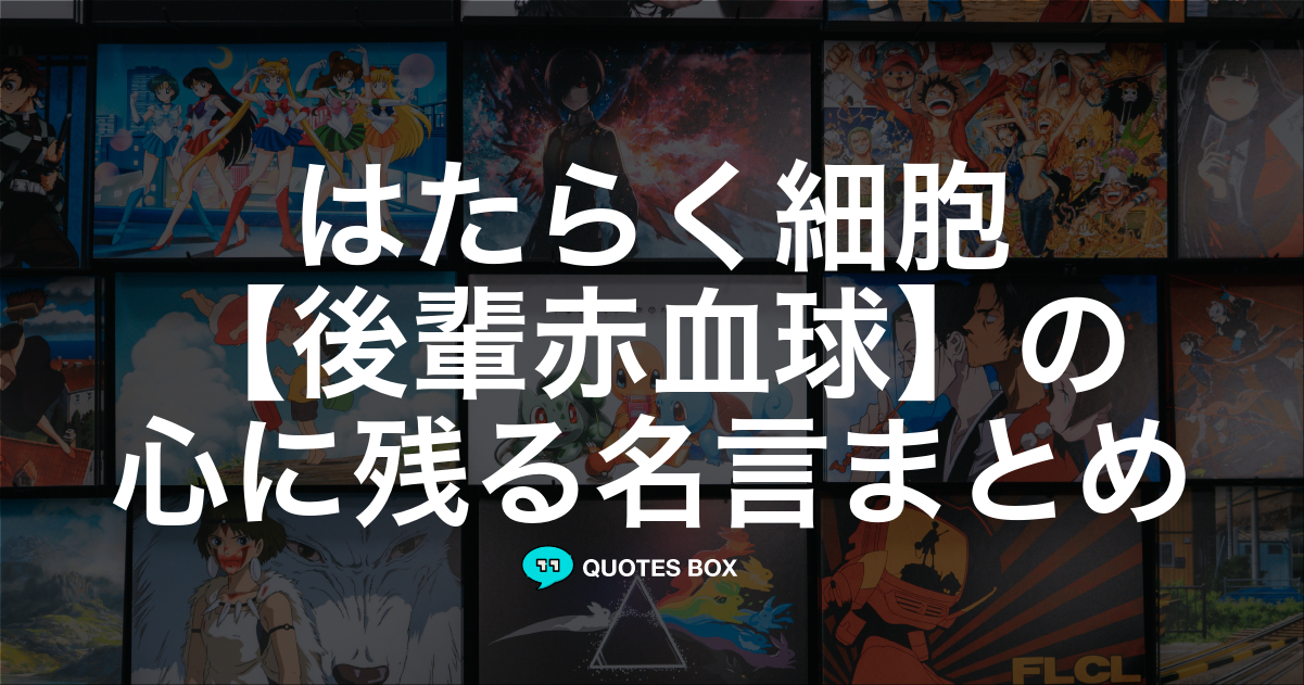 後輩赤血球